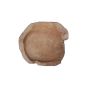 Wooden Decorative Bowl (SL30)