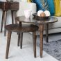 Vintage Mango Nest of Tables