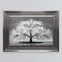 White Cherry Tree Framed Print - In Stock