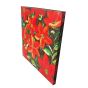 Colourful Wall Canvas (SL823)
