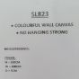 Colourful Wall Canvas (SL823)