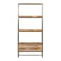 Industrial Gold Ladder 85CM Shelves