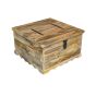 Jali Mango - Light Square Trunk Coffee Table 