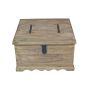 Jali Mango - Natural Square Trunk Coffee Table