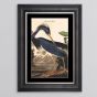 Louisiana Heron Framed Print - In Stock