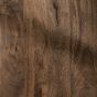 Oak Stain Wood Sample