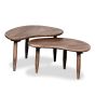 Oak Stain Scandi Mango Kidney Bean Coffee Table