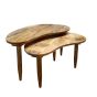 Scandi Mango Kidney Bean Coffee Table