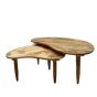 Scandi Mango Kidney Bean Coffee Table