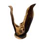 Sheesham Teak Sculpture