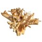 Teak Root Table
