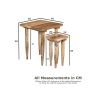Scandi Mango Nest Of Tables - In Stock