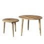 Light Vintage Mango Nest of Tables