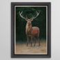 Wellington Stag Framed Art - In Stock