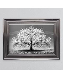White Cherry Tree Framed Print - In Stock