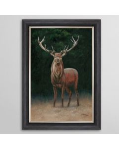 Wellington Stag Framed Art - In Stock
