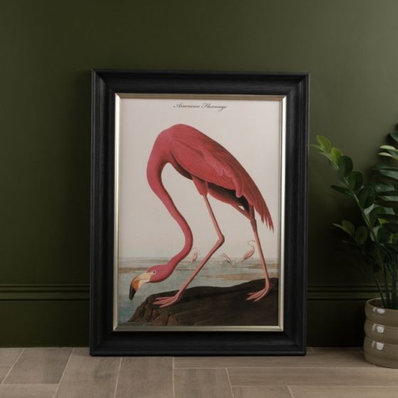 American Flamingo Frame Print