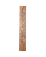 2000mm Shelf

